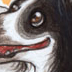 Thomas et Panda